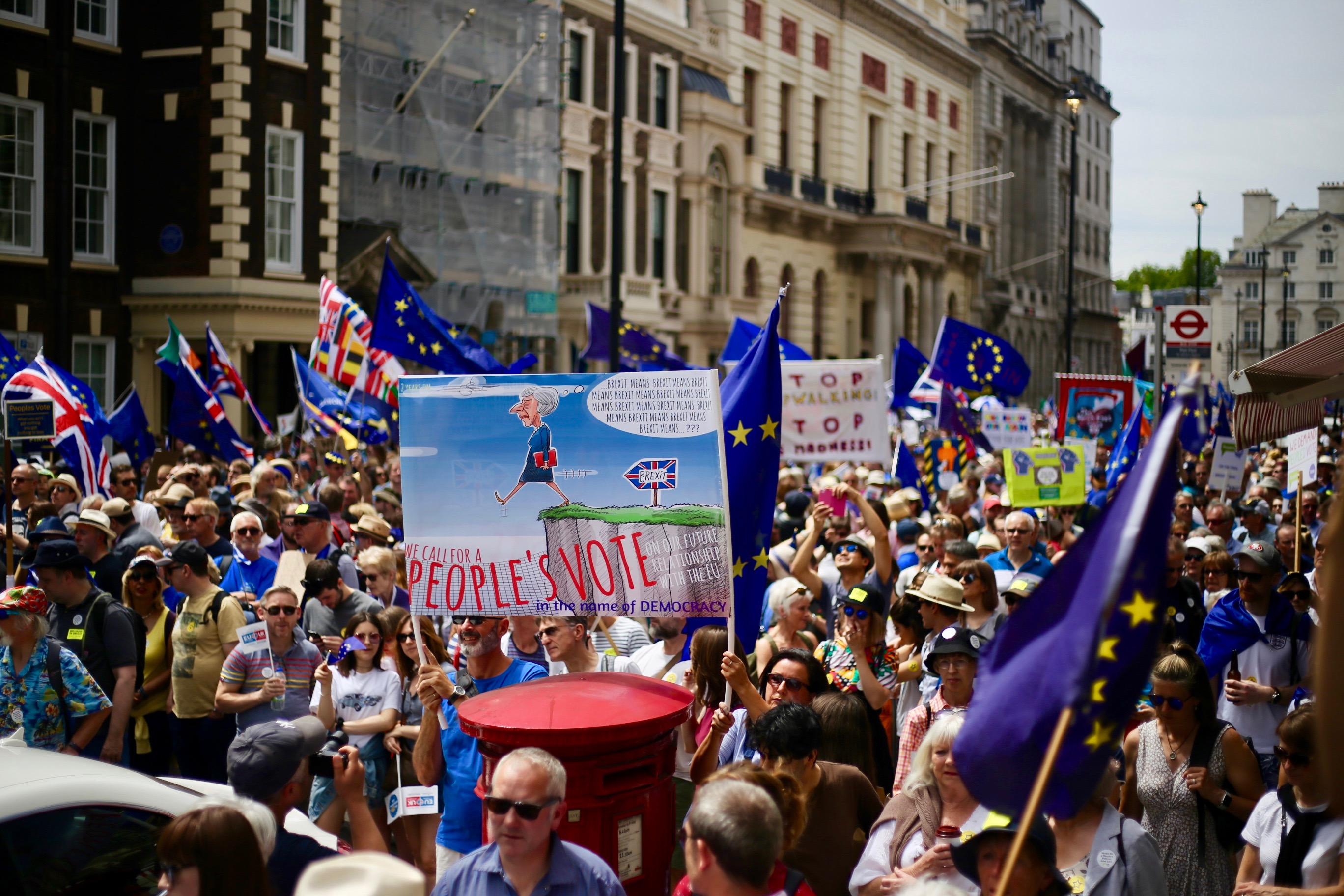 People's_vote_on_Brexit_march,_London,_June_23,_2018_23